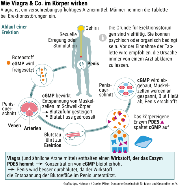 Nebenwirkungen von Levitra und Viagra