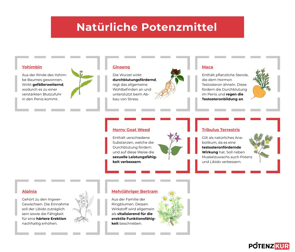 "Vorsicht bei günstigen Potenzmitteln"